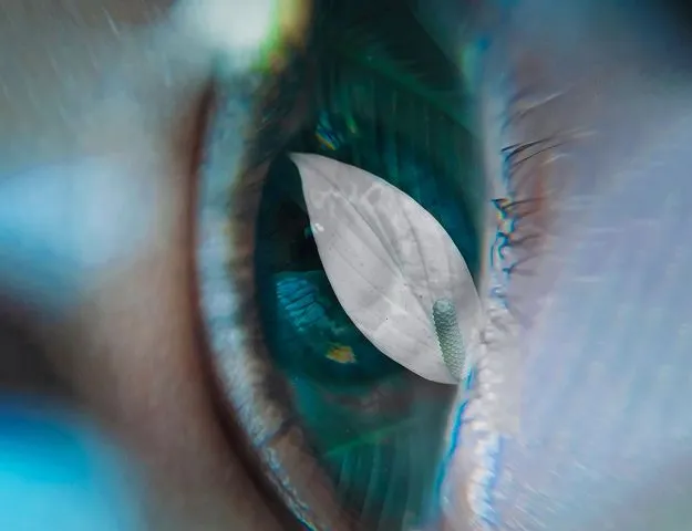 ¿Qué es realmente la hipnosis? La ciencia detrás del trance
